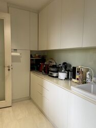 Ardmore Park (D10), Condominium #367992391
